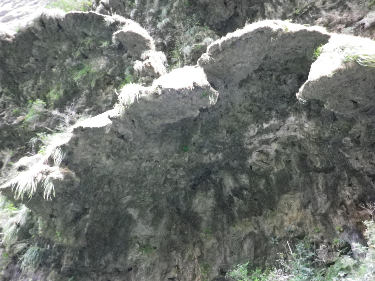 Sumidero Canyon near Tuxtla Gutierrez147